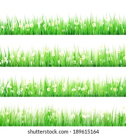 Spring Meadow with Daisies. And also includes EPS 10 vector