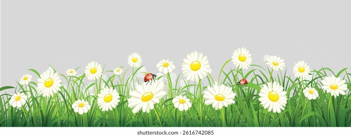 Spring Meadow with Daisies and Ladybugs - Nature Illustration