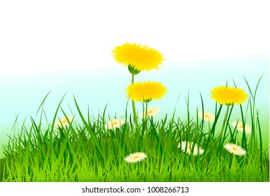 Spring meadow with dandelions and daisies