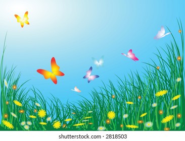 Pradera de primavera con flores y mariposas