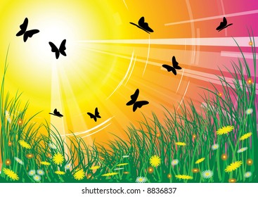 Pradera de primavera con flores y mariposas