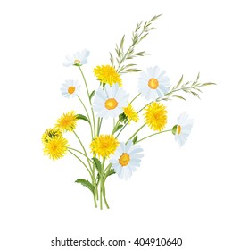Spring meadow flowers. Dandelion and daisy.