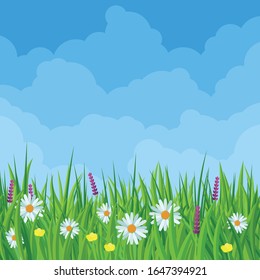 Spring meadow flowers flat design vector illustration. Vector background template for banner, landing page, website.