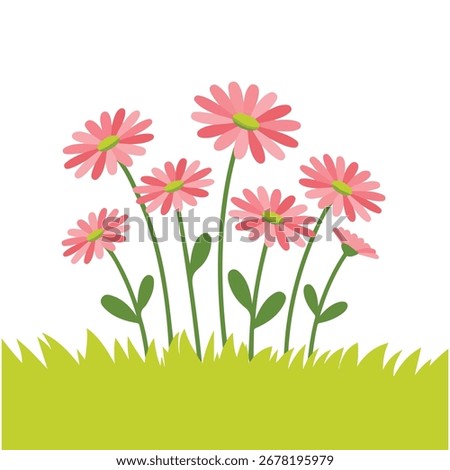 Spring meadow flowers isolated vector illustration on white background
