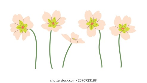 Spring meadow flowers vector illustration collection. Modern hand drawn Primrose clip art set for books, stationery, banners and social media