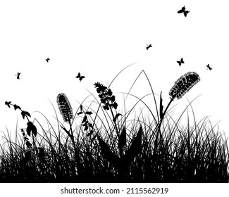 La pradera de primavera. Plantas frescas, hierba de crecimiento estacional, elementos botánicos separados, hierbas. Cascos de césped natural, borde floral. Ilustración vectorial.