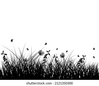 Spring meadow grass. Fresh plants, seasonal growth grass, separated botanical elements, herbs. Natural lawn bushes, floral border. Vector Illustration.