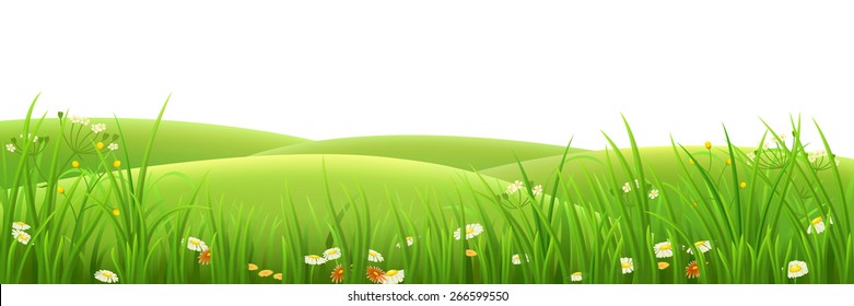 Frühlingswiese mit grünem Gras und Blumen