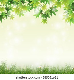 Spring meadow with green leaves background.Vector