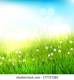 Spring meadow with tall grass - vector background