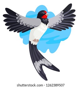 Spring migratory bird a swallow against the background of the sky. Open wings in flight
