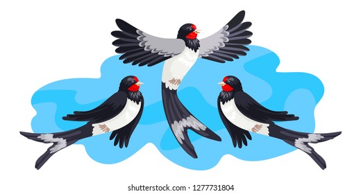 Spring migratory bird a swallow against the background of the sky. Open wings in flight