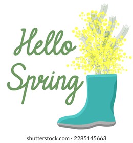 Spring mimosa in rubber shoes. Hello spring. Vector illustration.