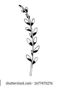 Spring monochrome linear vector illustration of a branch of a blooming pussy willow. Easter symbol hand-drawn in doodle style. For greetings, cards, wedding decoration, logo, coloring, invitations