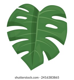 Spring monstera icon cartoon vector. Jungle plant. Summer house flora