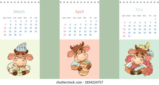 Spring months 2021 set. March April May. Calendar with cartoon cute bulls. Editable vector template.
