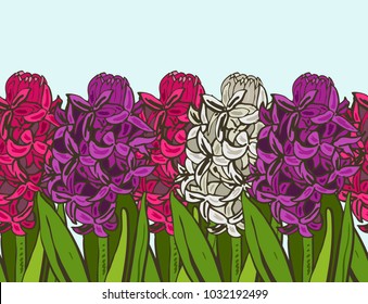 spring mood border flowers hyacinth
