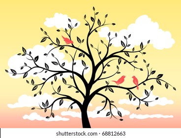Spring morning