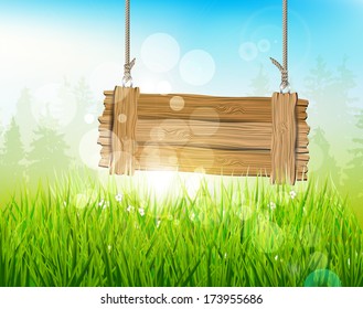 Spring morning - background with empty wooden sign 