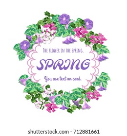 The spring with morning glory and geranium. The flower in the spring. Purple text in flower circle. Purple, white and pink flower and leaf is vector for card.
