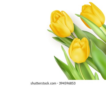 Spring Natural Frame with Yellow Tulips Flowers. EPS 10 vector file