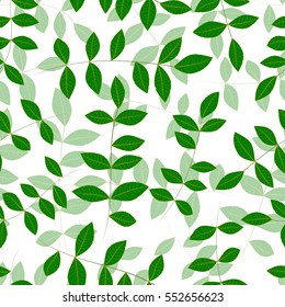 Spring natural fresh green leaves on white  Background. Vector Illustration, seamless pattern with clipping mask,  EPS10