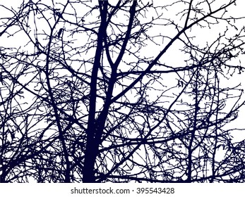  Spring nature background. Branches of trees. Dark blue tones. White sky.  Can be used for visit cards, eco texture, devices backdrops.  