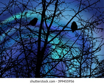 Spring nature background. Branches of trees without leaves. Night. Northern lights. Love couple of birds looking each  other. 
