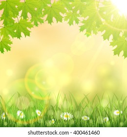 Spring nature background with flowers in the grass, maple leaves and Sun, illustration.