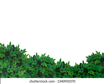 Spring nature background with green bush leaves.