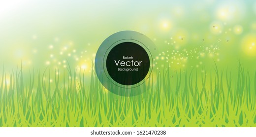 Spring nature background with green grass