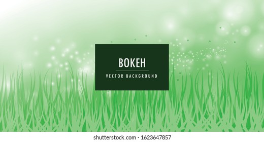 Spring nature background. green grass wallpaper