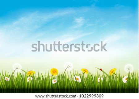 Spring nature background with green grass and sky . Vector. 