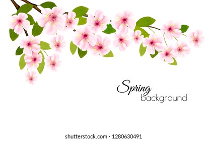 Spring nature background with a pink blooming sakura. Vector.