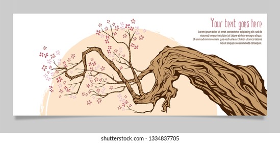 Spring nature background with a pink sakura blossom. Vector