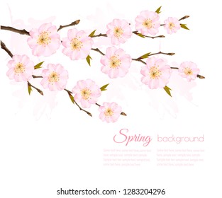 Spring nature background with sakura branch. Vector