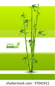 Fondo vectorial de bambú natural de primavera