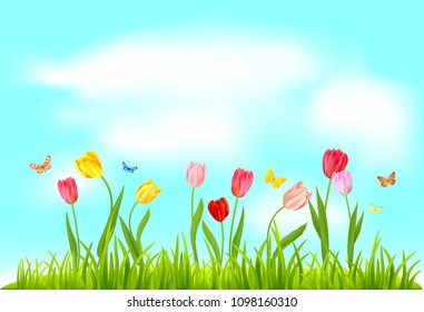 Spring nature flowers