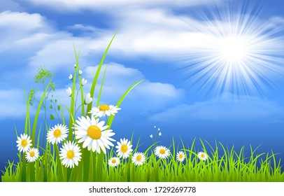 La primavera en la naturaleza, flores, cielo y nubes