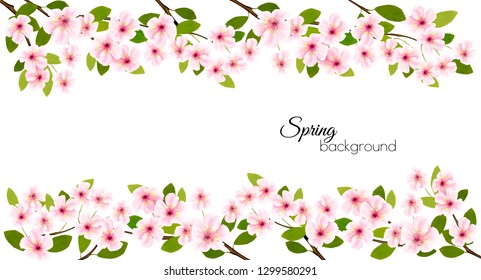 Spring nature frame with a pink blooming cherry. Vector.