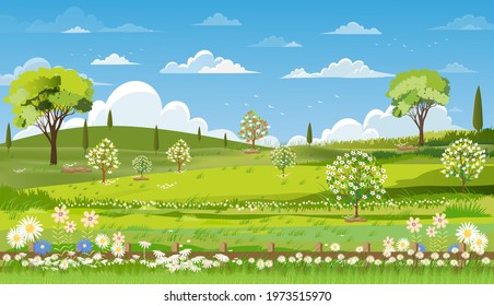 Spring nature landscape with grass field, blue sky and cloud,Panorama backdrop farm land in sunny day,Peaceful rural in springtime in the morning,Cartoon vector for spring and summer banner background