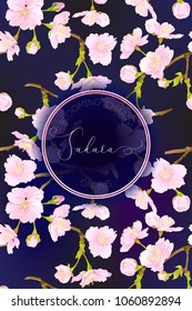 Spring night sky background with blossom brunch of pink sakura flowers. Template with place for text. Stock vectorÂ illustration. Good for gift voucher, card, banner.