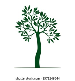 Spring Olive Tree on white background. Vector Illustration. Plant in garden.