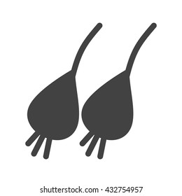 Spring Onion