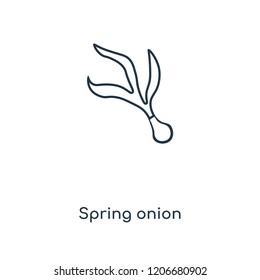 Spring onion concept line icon. Linear Spring onion concept outline symbol design. This simple element illustration can be used for web and mobile UI/UX.