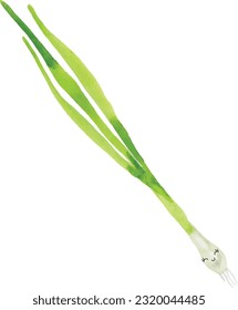 spring onion. Cute vegetable character. watercolor vector eps10