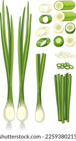 Spring onion in different forms illustration