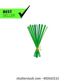 Spring onion icon