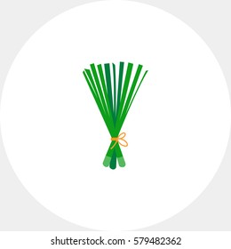 Spring onion icon