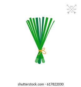Spring onion icon